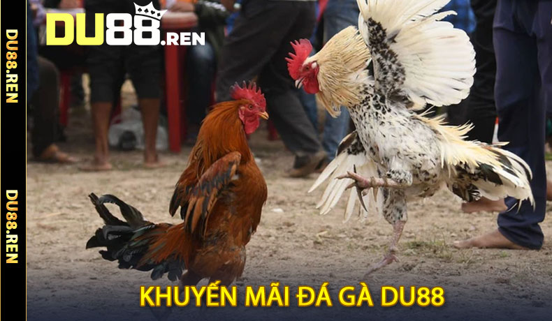 Khuyến Mãi Đá Gà DU88